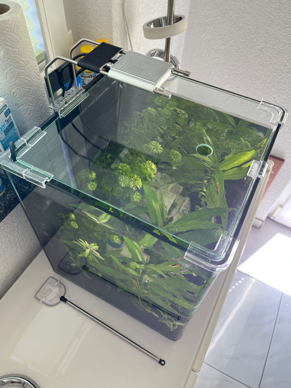 Dennerle Aquarium: Dennerle Nano Cube 30L + Filter + Thermometer – Gebraucht aus Gelterkinden von Linde1984 1