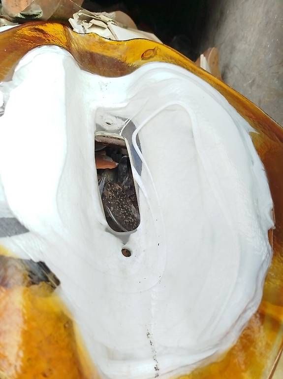 Bicchieri: MuranoGlas – Usato da Neuenkirch venduto da sus_9b6v 4