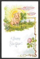 Neujahrskarte A Happy New Year Prägekarte mit Schwein
