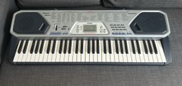 Keyboard Casio CTK-491