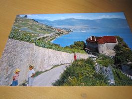 LE LAVEAUX Postkarte