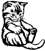 🐾😺Süßer KITTEN-Aufkleber für Auto und Wand! Schwarz 🐈‍⬛💫