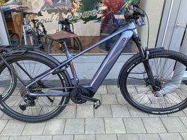 Ibex E-Bike fat frank Gr.M
