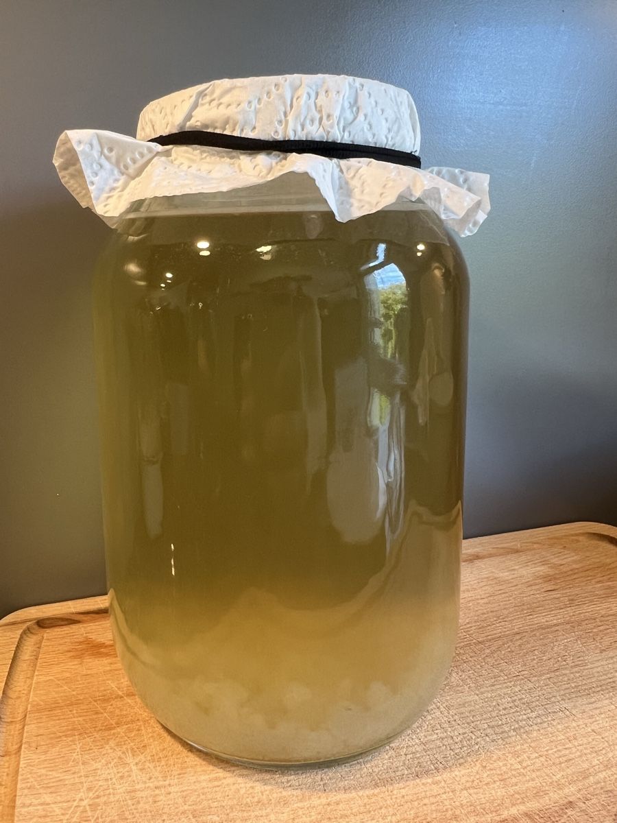 Aliments & Spécialités: ✨Bio - Wasserkefir✨ – D'occasion à Bern par gen_j9gp 2
