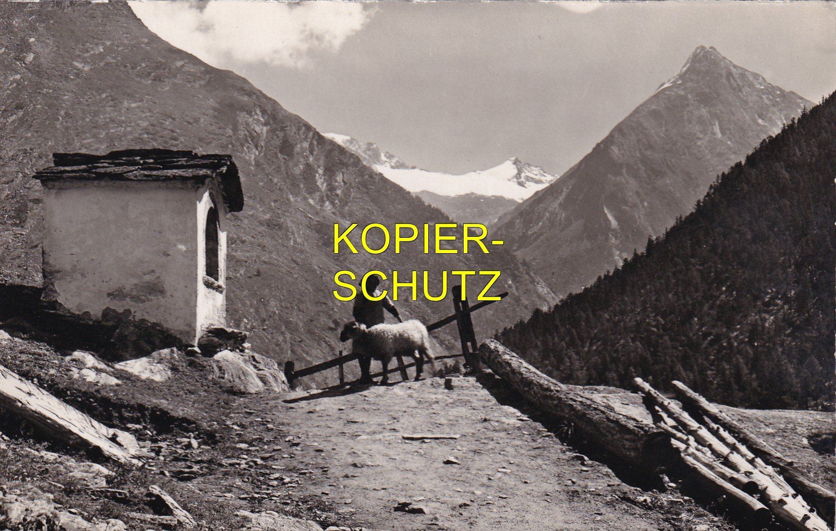 Ansichtskarten: Saas-Fee - Bauer mit Schaf am Kapellenweg /aw – Gebraucht aus Hombrechtikon von Rudolf07