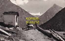 Saas-Fee - Bauer mit Schaf am Kapellenweg /aw