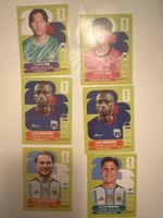 Panini 2026