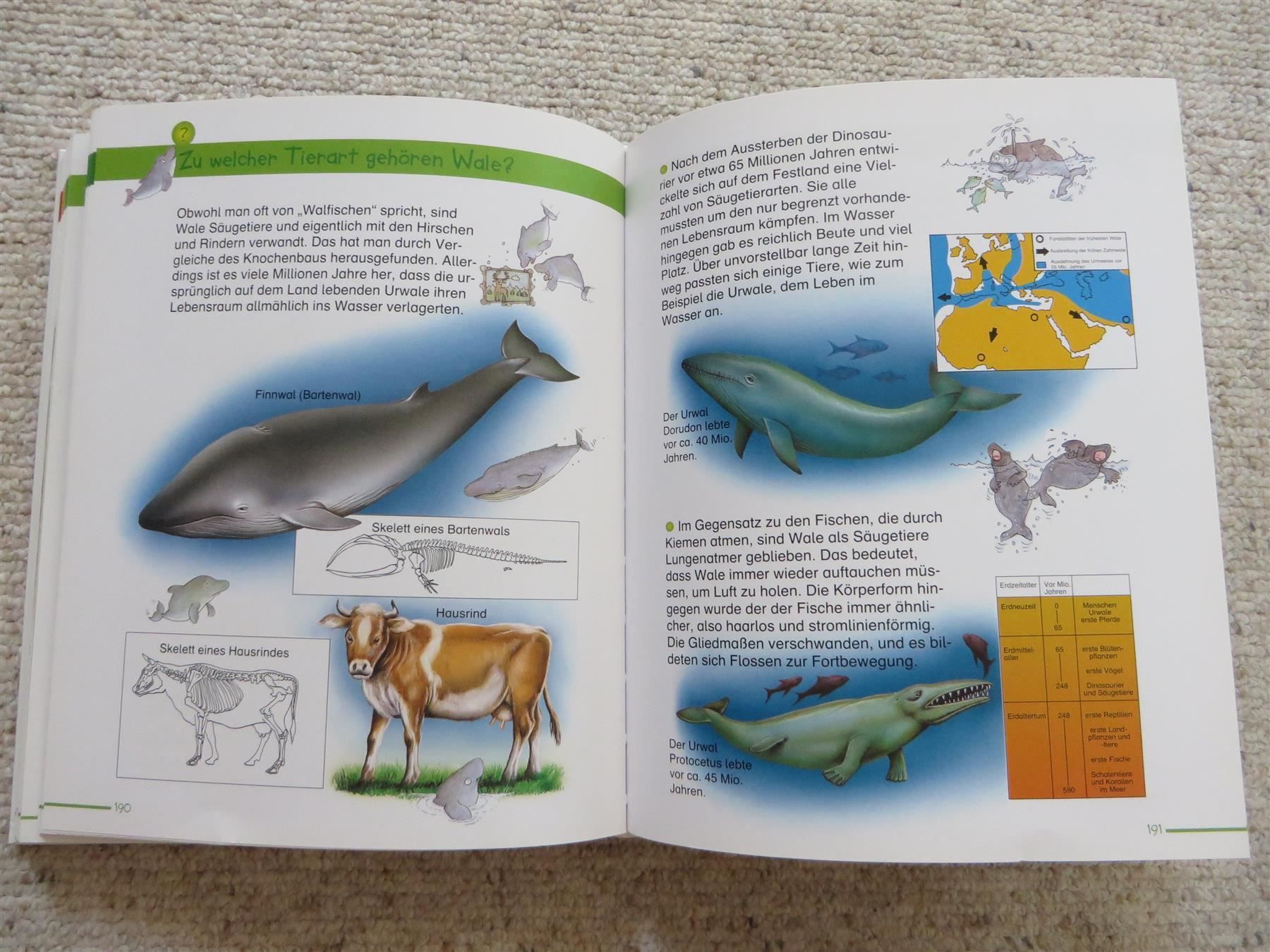 Bücher: Die ganze Welt des Wissens – Gebraucht aus Spiez von Crazyduck 3