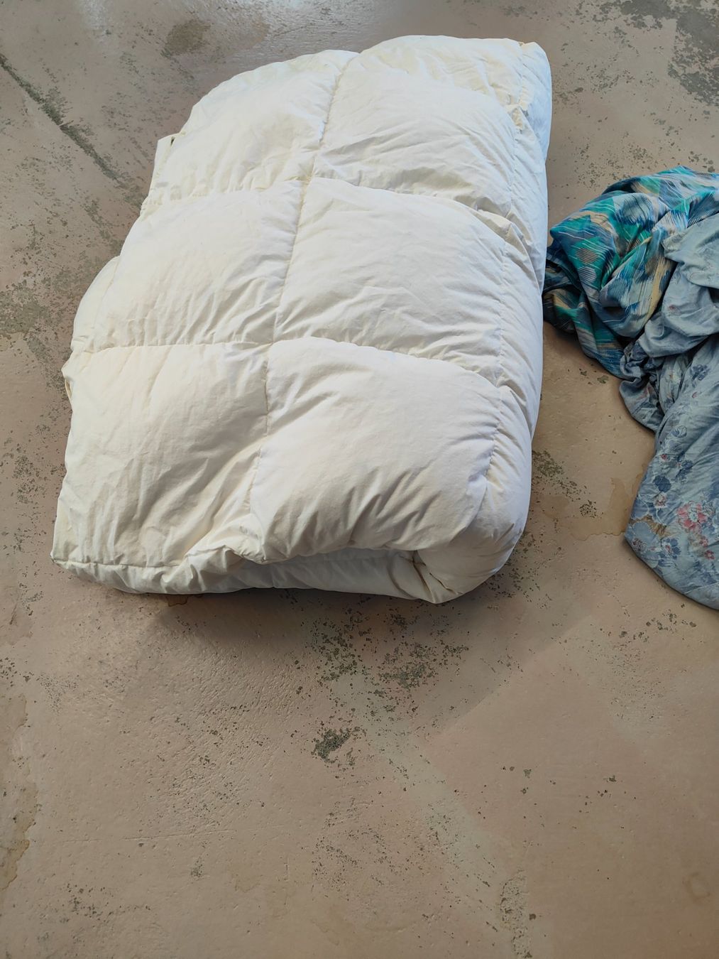 Coperte: 4 Saison Daunenduvet – Usato da Olten venduto da Mezopotamya 5