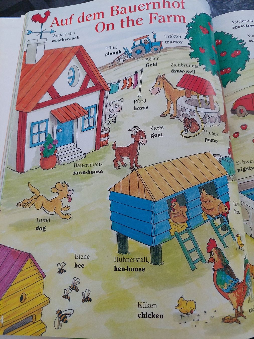 Libri: 2  Wörterbücher E/D  für Kinder – Usato da Zetzwil venduto da lanst08 4