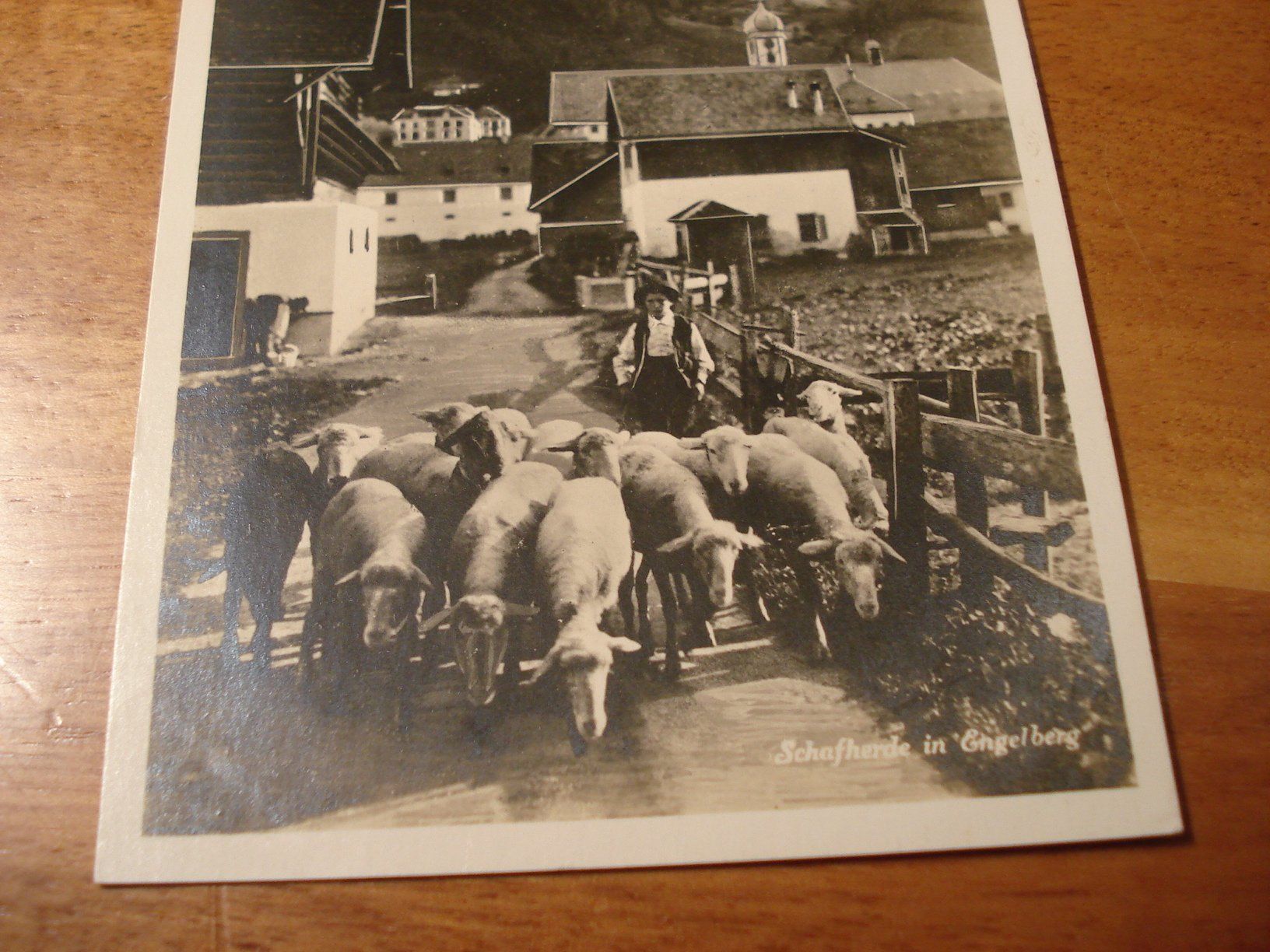 Cartes postales: Schafherde in Engelberg, 1927, o Engelberg – D'occasion à Niederwil AG par morostahu 1