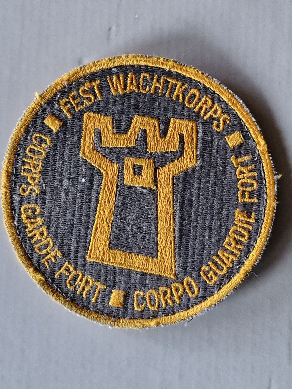 Armée suisse Plaquettes & Badges: Festung Abzeichen Grau – D'occasion à Nyon par freetoys08