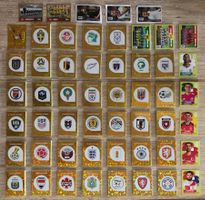 +755 Panini – Ohne Duplikate