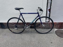 Cadex Carbon/Alurahmen restauriert