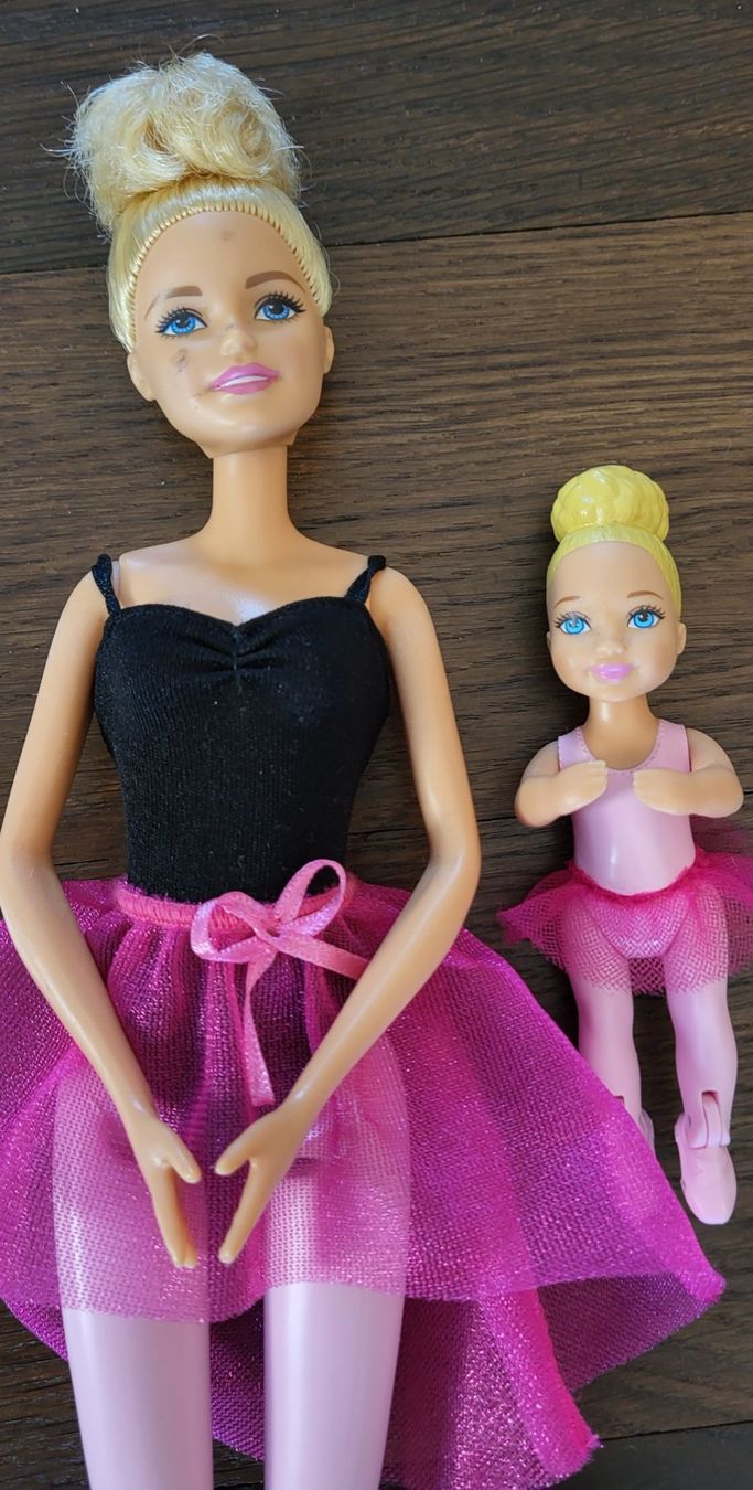 Bambole: Barbie+Chelsea Ballett – Usato da Unterseen venduto da rej_lnk9 1
