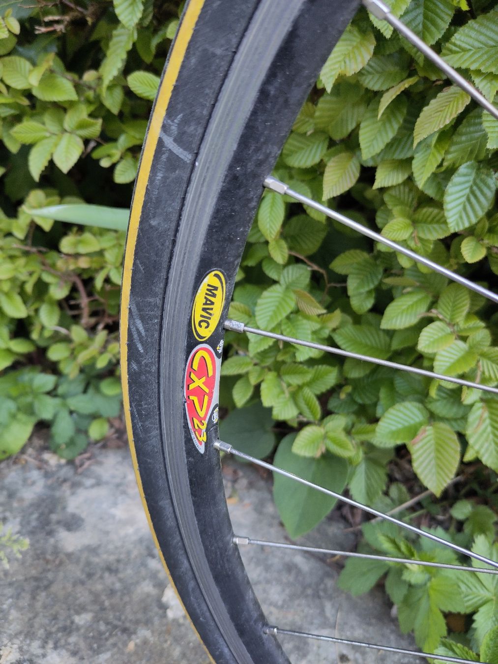 Campagnolo Vélos: Rennvelo / Campagnolo Komponenten / Mavic Laufräder – D'occasion à Winterthur par spo_f7pq 4