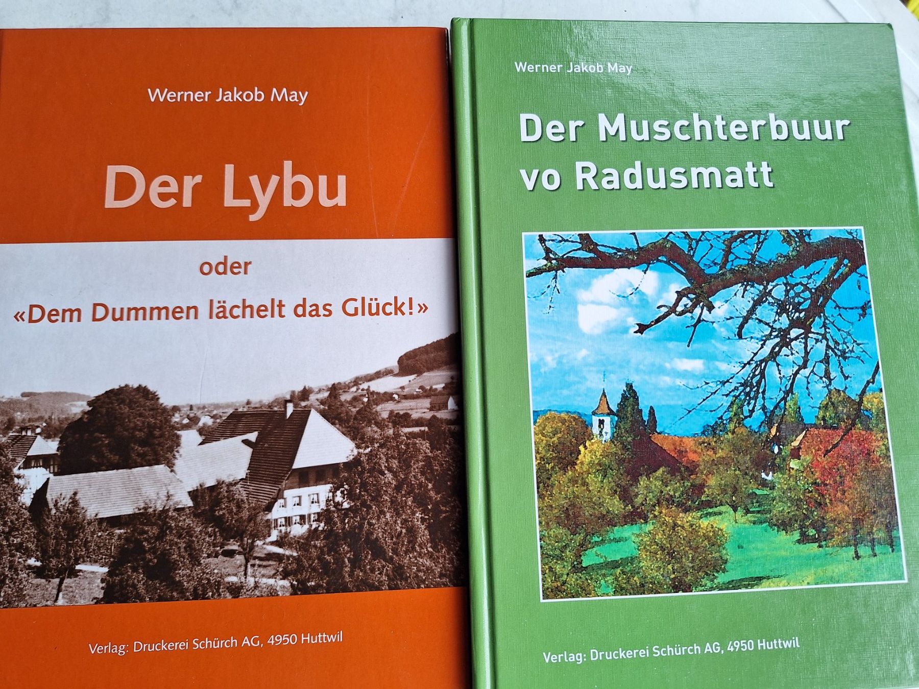 Libri: 10 STK BÜCHER BUCH MUNDART – Usato da Huttwil venduto da Kunterbuntli 5