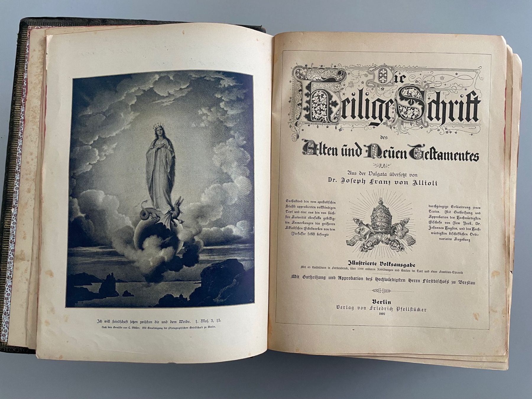 Libri: Bibel / Altes & neues Testament – Usato da Bünzen venduto da rolfrolf01 5