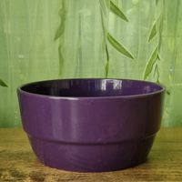 Violetter Pflanzentopf