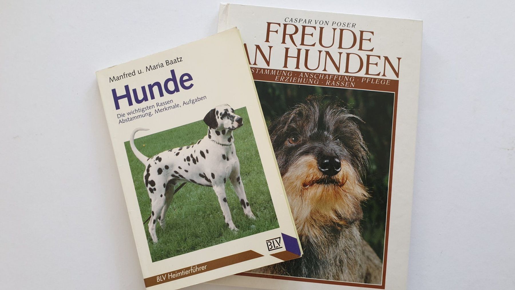 Libri: Hundebücher – Usato da Goldach venduto da armando_r