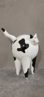 Villeroy & Boch Animal Park Porzellan Cat Rosemarie Benedikt