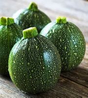 10 Samen Runde Zucchini von Piacenza