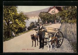 Luzern, Mann mit einem Hundegespann als 