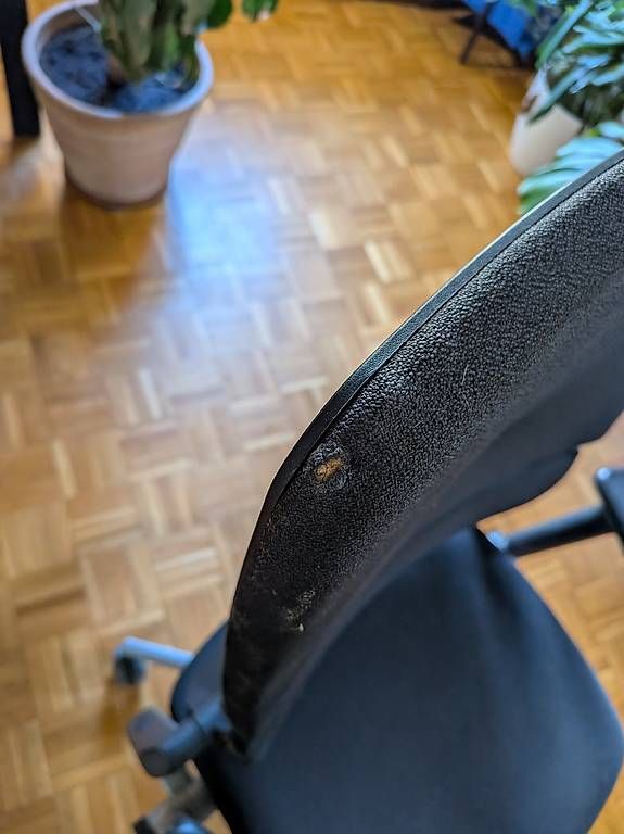 Sedie: Chaise ergonomique Steelcase Please – Usato da Lausanne venduto da YannLepo 2