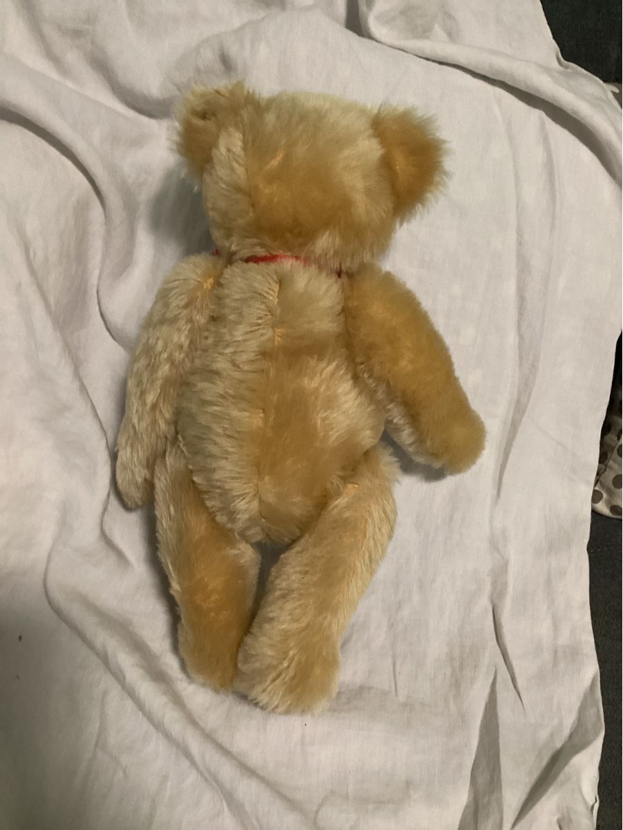 Steiff Giocattoli: STEIFF TEDDY MIT KNOPF UND FAHNE – Usato da Münchenstein venduto da NoSu98 4