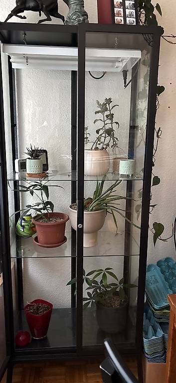 Ikea Vitrines: Milsbo Vitrine – D'occasion à Winterthur par Unmooglich