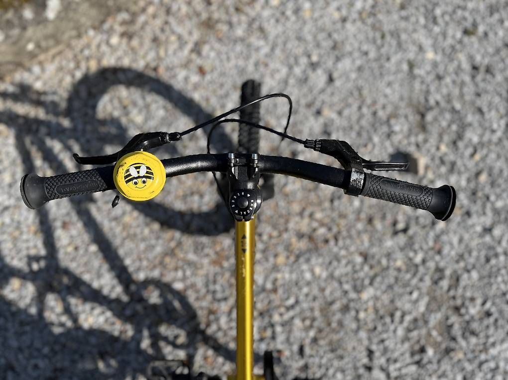 Biciclette: 16" Kindervelo Rascal Bikes Gold – Usato da Stäfa venduto da Tschimmen 3