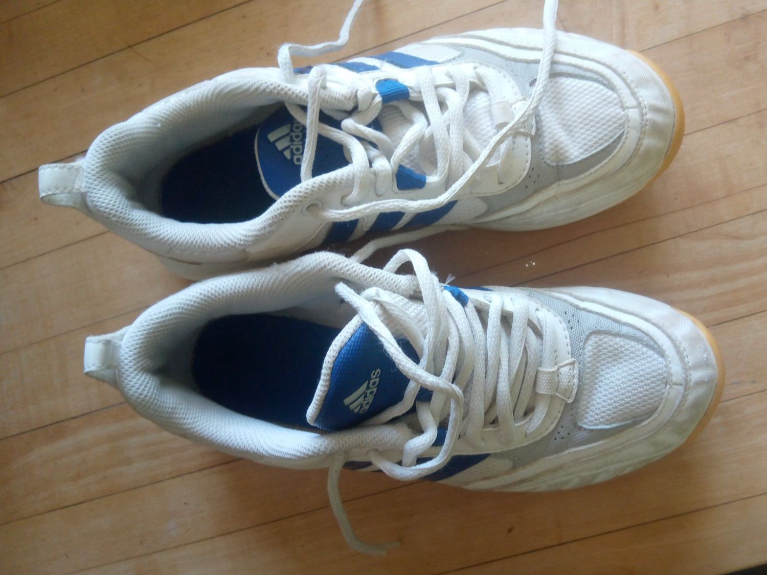 Adidas Herrenschuhe: Adidas Hallenschuhe Grösse 36 gebraucht – Gebraucht aus Magden von Mandy13 4