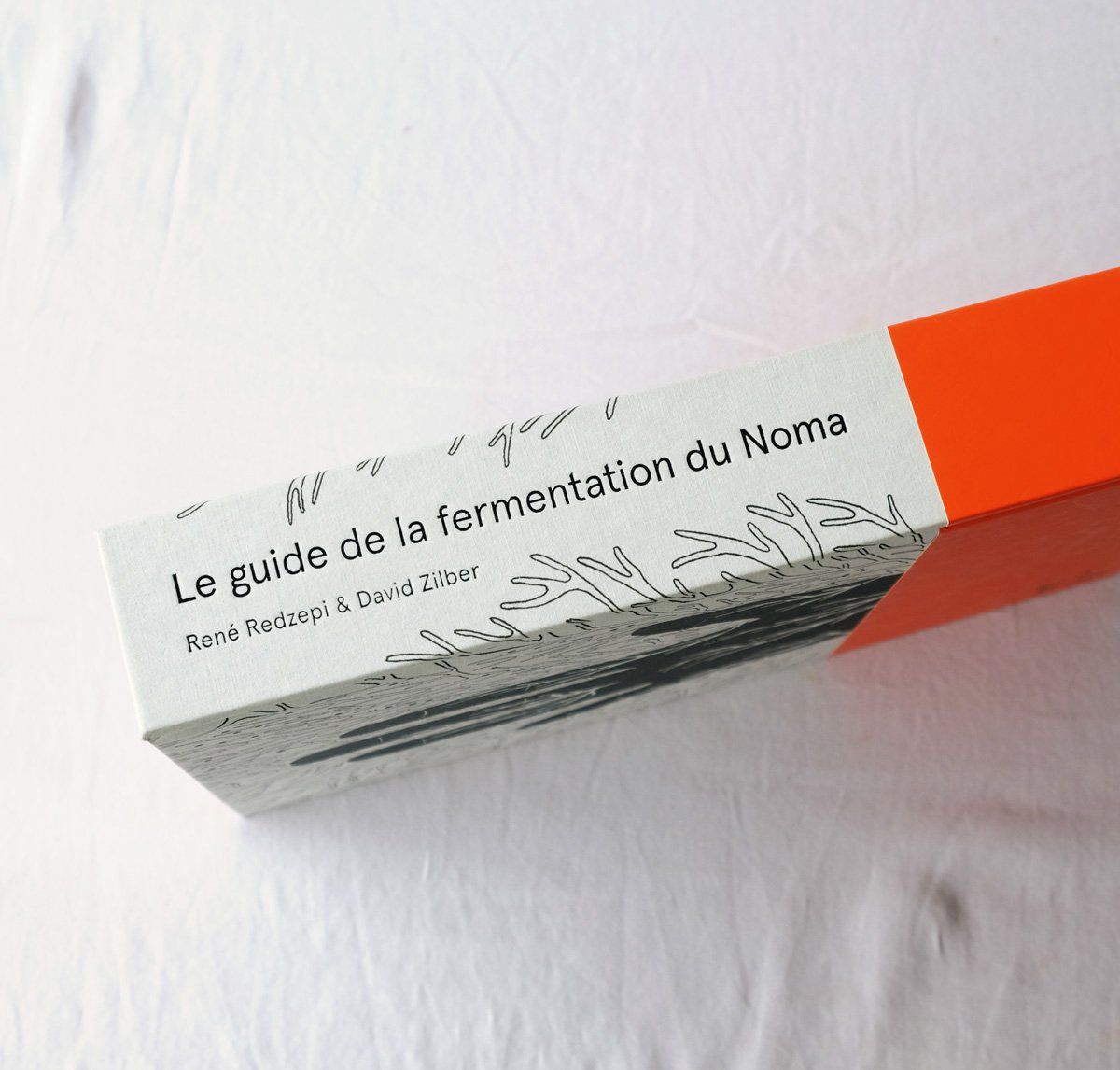 Livres: Le guide de fermentation du NOMA – D'occasion à Morgins par Laurentcorinne 2