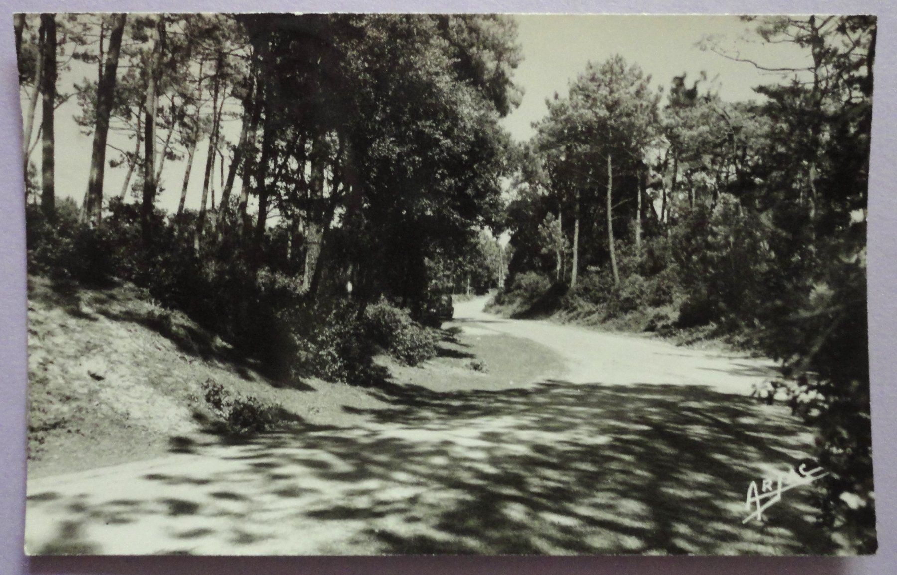 Cartes postales: Ile d' Oléron - Vert Bois – D'occasion à Fétigny par Billy2miny
