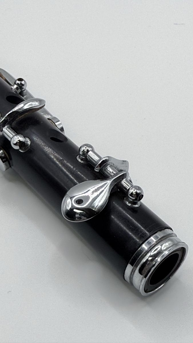 Strumenti musicali: Kunststoff Piccolo – Usato da Basel venduto da stalders72 2