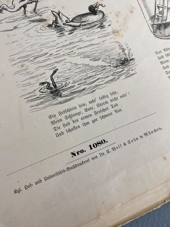 Libri: ANTIKES KINDERBUCH “MÜNCHNER BILDERBOGEN” 1898 – Usato da Zürich venduto da NIKI777 7