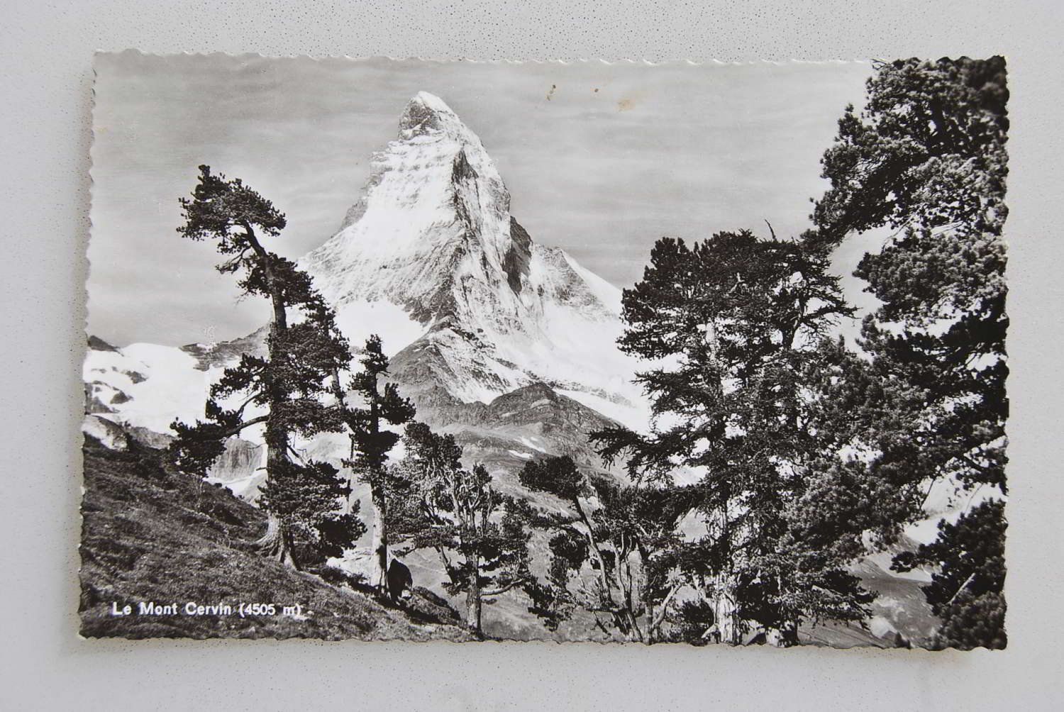 Cartoline postali: AK Le Mont Cervin 4505 m 1940 – Usato da Rüfenacht BE venduto da Toro06