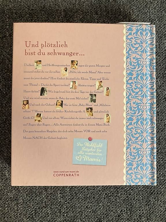 Libri: Das Mami Buch neu – Nuovo (secondo la descrizione) da Wiler b.Utzenstorf venduto da Verkauf333 1