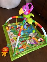 Fisher-Price Baby Spieldecke/Spielbogen. Sehr guter Zustand