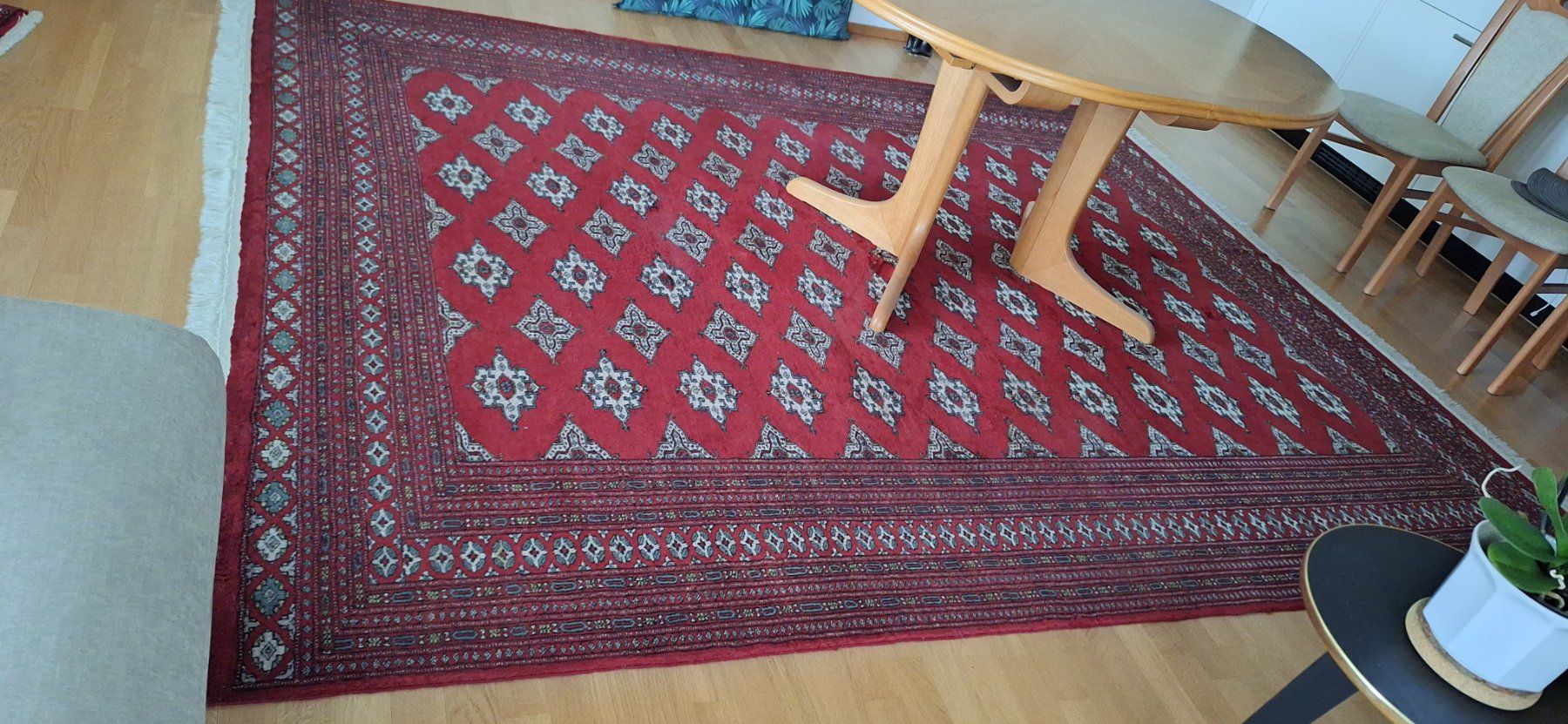 Pfister Tappeti: Teppich Pakistani Lahore – Usato da Wohlen AG venduto da Tiger0107