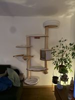 Gebrauchter Kerbl Wand-Katzenbaum 