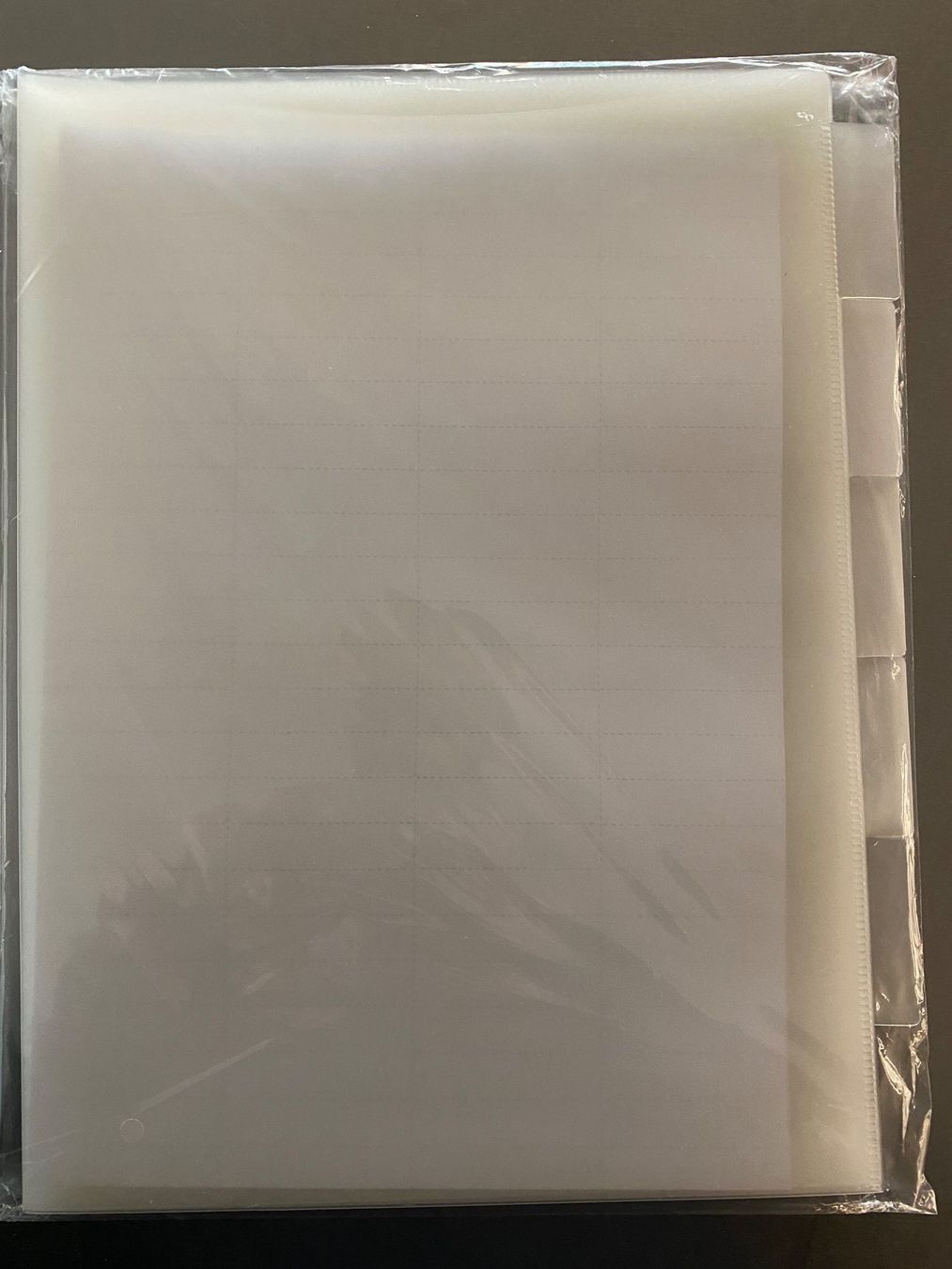 Ordner: 10 Registermappen A4 mit Hüllen, neu & originalverpackt – Neu und originalverpackt aus Bern von Cucina10