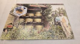 2011  FDC Maximumkarte Bienen