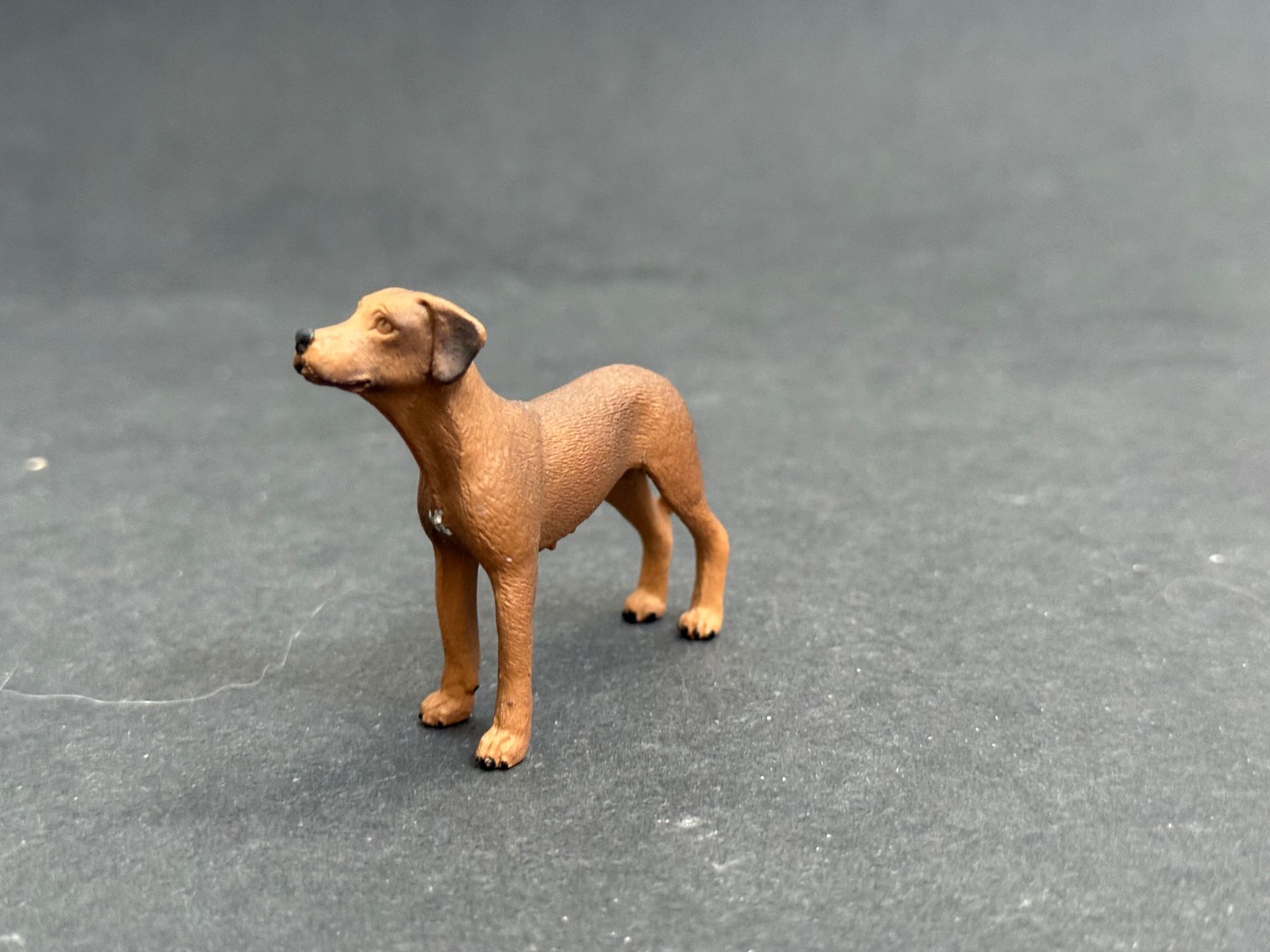 Schleich Figuren: Schleich Rhodesian Ridgeback Hund – Neu (gemäss Beschreibung) aus Ennetbaden von mapa05 6