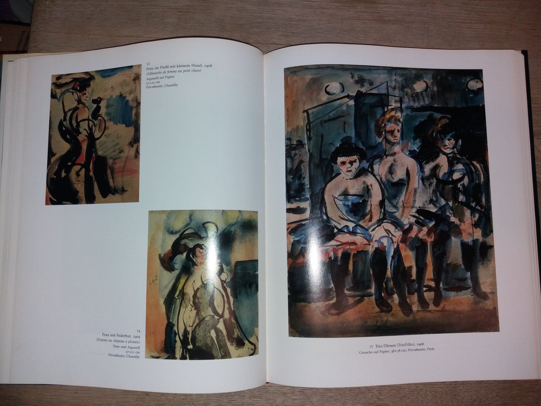 Bücher: KUNSTKLASSIKER      Georges Rouault       UMFANGREICH – Gebraucht aus Welschenrohr von Regool 3