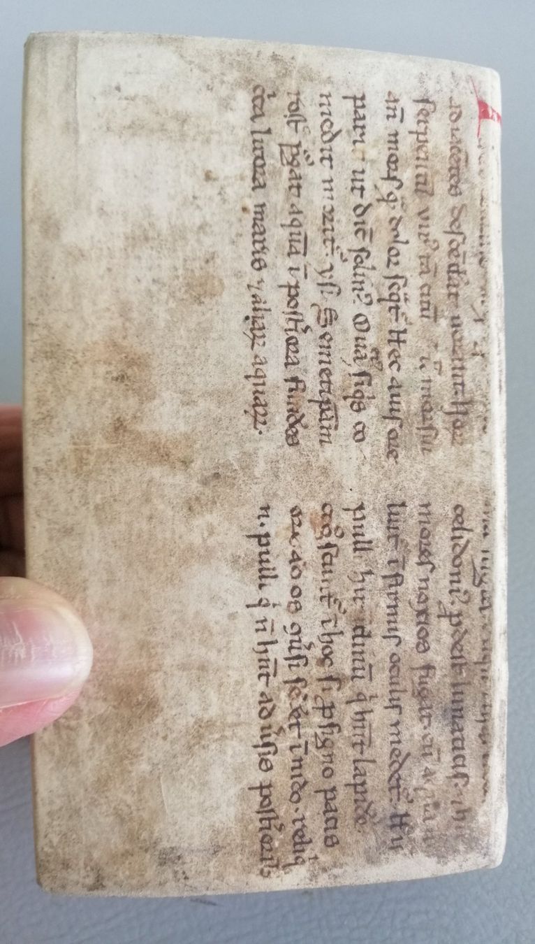 Livres: Antikes Buch "Poliologia" 1702 – D'occasion à Mörschwil par Erwin8242 6