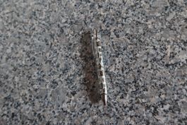 Kugelschreiber