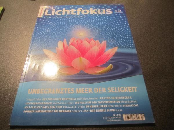 Riviste & Magazine: Lichtfokus Nr. 42, Sommer 2013 – Usato da Zürich venduto da Motzkuh