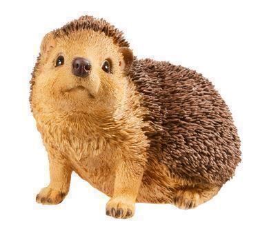 34+ Garten Igel Kaufen, Deshalb ist es eine gute maßnahme, igel im