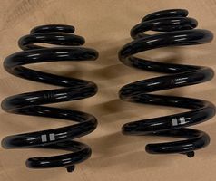 HinterachsFedern VW T5/T6/T6.1 (7J0511115E)